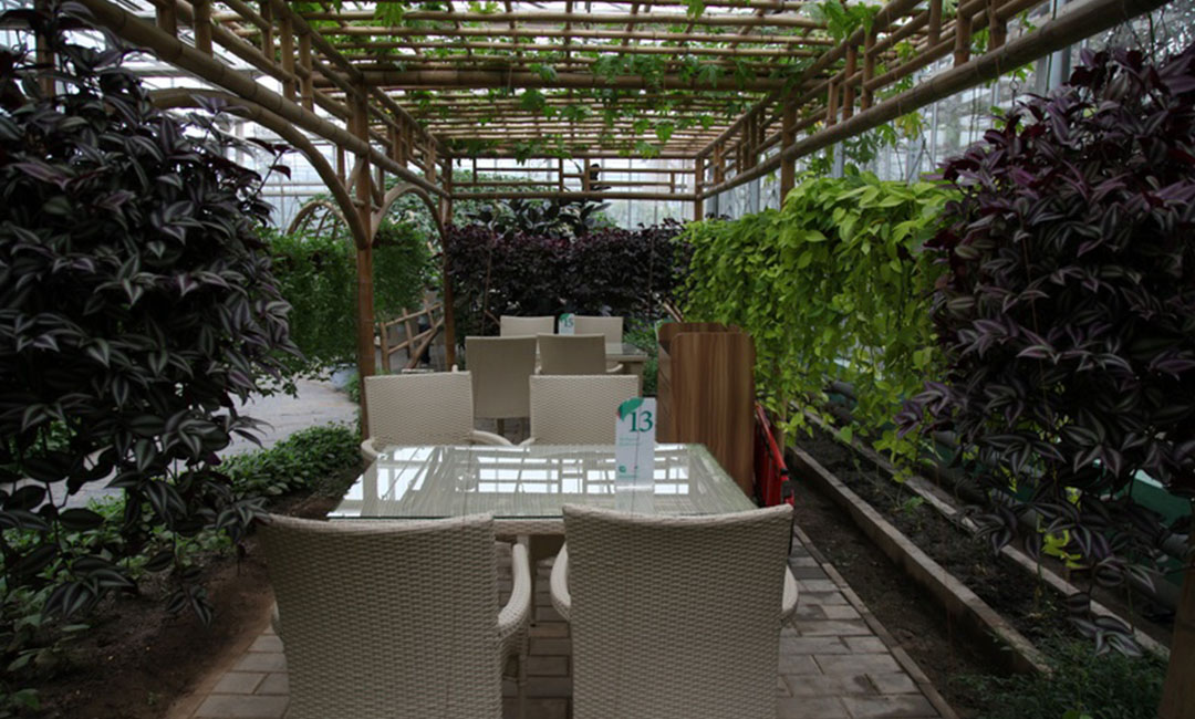 平凉康柏宇品牌文案撰写案例